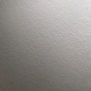 Meet your Posher, Bridgette